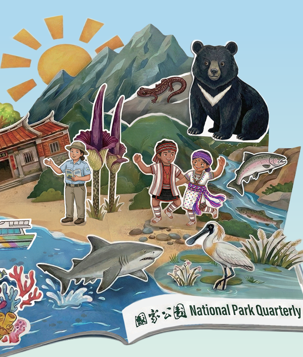 Land, Sea, and the Passage of Time